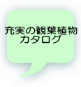 充実の観葉植物 カタログ